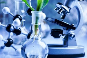 معرفی برترین اقتصادهای